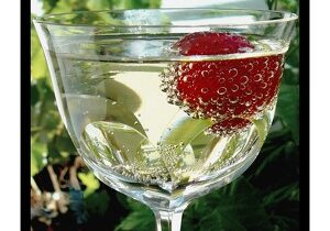 champagne s jahodou